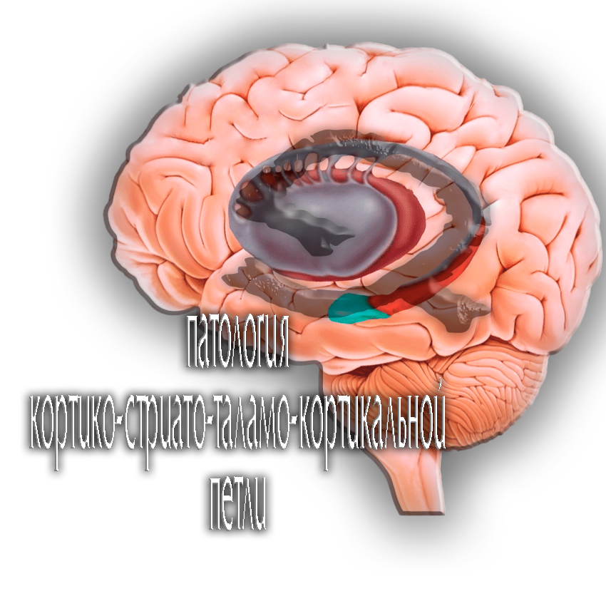 cstc loop